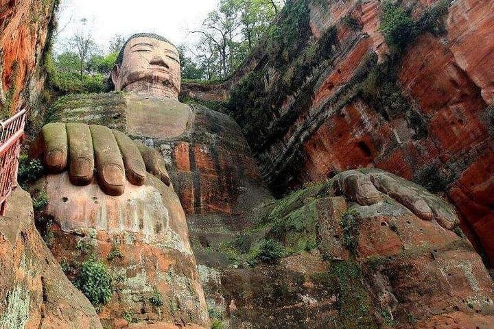 Chengdu Panda Research Base & Leshan Giant Buddha Day Tour — Classic Sichuan Day Trip photo 4