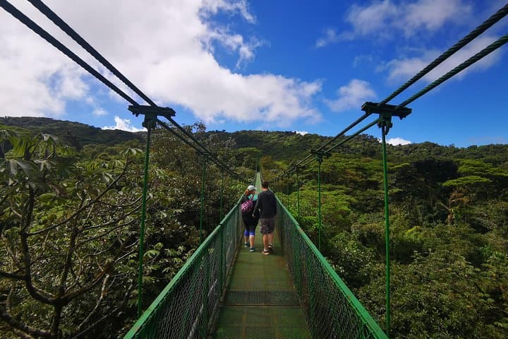 Monteverde Cloud-Forest Hike and Coffee Tour from Guanacaste