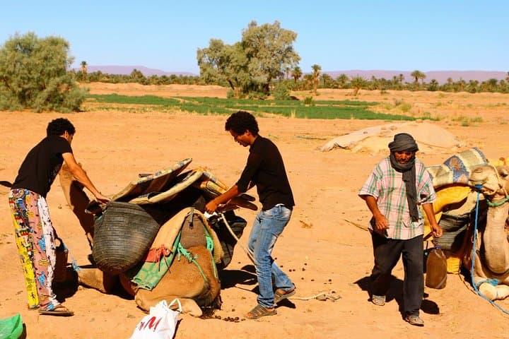 6-Day Private Camel Trek from Zagora to M'hamid Desert — Camel Caravan & Berber Camps photo 3