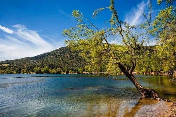 Middle Atlas Day Trip from Fes: Ifrane, Imouzzer & Azrou in a Day