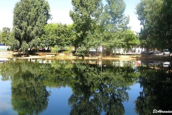 Middle Atlas Day Trip from Fes: Ifrane, Imouzzer & Azrou in a Day photo 3