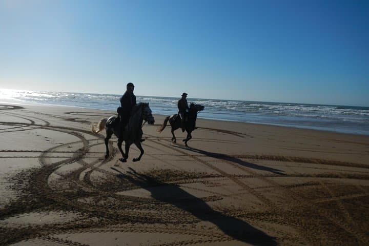 Essaouira Beach Horseback Ride with Overnight Berber Camp