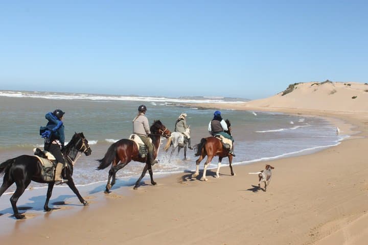 Essaouira Beach Horseback Ride with Overnight Berber Camp photo 2