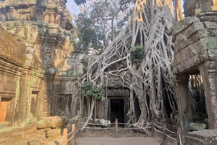 Angkor Discovery: 2-Day Private Tour of Angkor Wat, Ta Prohm & Beng Mealea photo 4