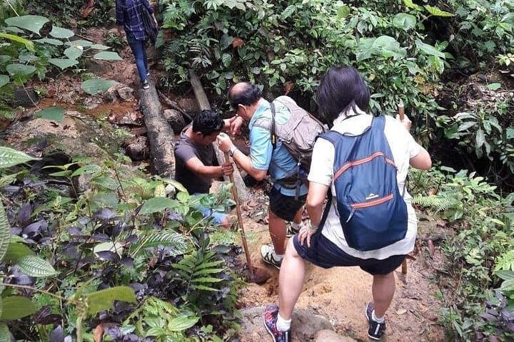 Medan to Bukit Lawang Full-Day Orangutan Trek in Leuser National Park photo 2