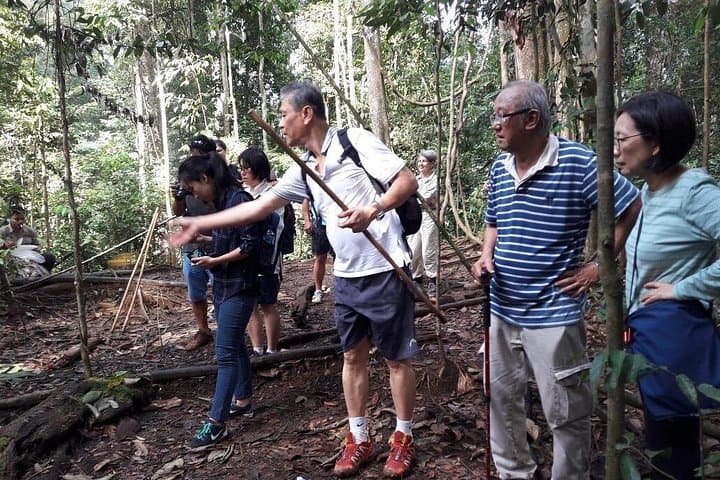 Medan to Bukit Lawang Full-Day Orangutan Trek in Leuser National Park photo 3