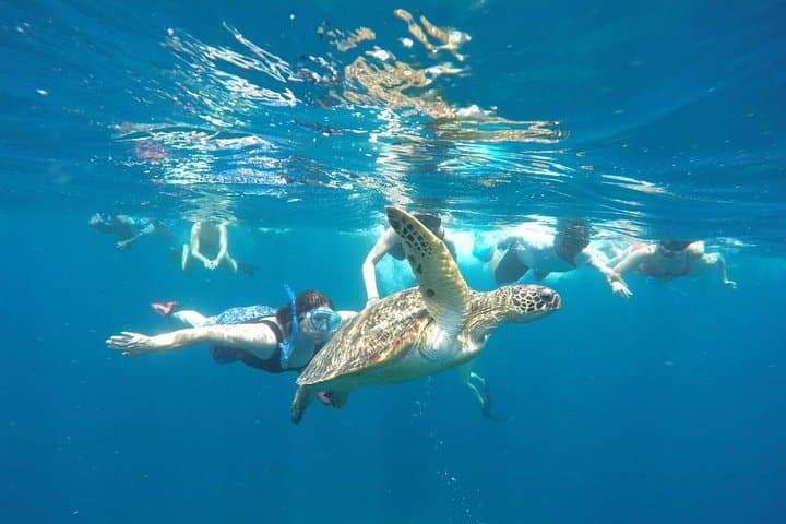 One-Day Gili Islands Snorkel: Turtles, Statues & Coral from Bali