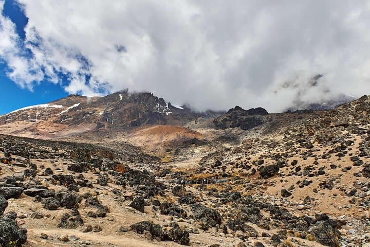 Summit Kilimanjaro via the Marangu Route — 6-Day Hut-to-Hut Climb photo 6