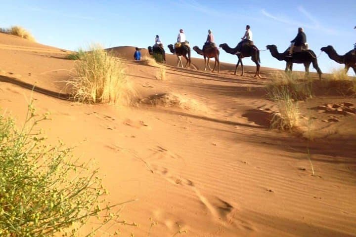 overnight-merzouga-sahara-camel-ride-and-desert-camp photo 6