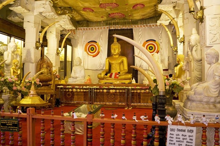 Kandy Day Tour from Kalutara & Wadduwa: Pineapple Gardens, Tea Tasting & Temple of the Tooth photo 4
