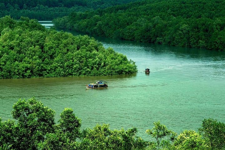 Can Gio Mangrove Biosphere Reserve: Day Trip from Ho Chi Minh City photo 3