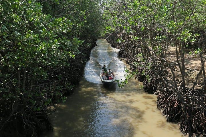 Can Gio Mangrove Biosphere Reserve: Day Trip from Ho Chi Minh City photo 1