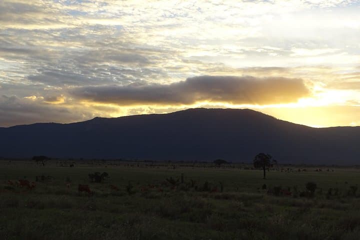 5-Day Tsavo & Amboseli Safari: Voyager Ziwani to Kilanguni Serena Lodge photo 2