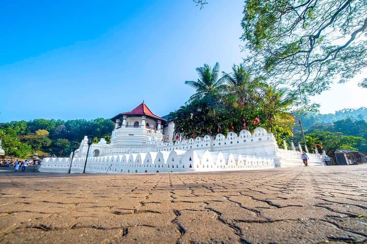 Kandy Day Tour from Kalutara & Wadduwa: Pineapple Gardens, Tea Tasting & Temple of the Tooth photo 2