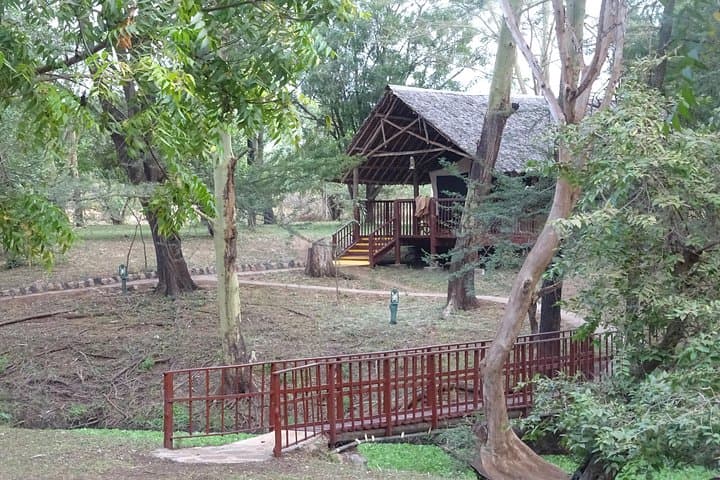5-Day Tsavo & Amboseli Safari: Voyager Ziwani to Kilanguni Serena Lodge photo 5