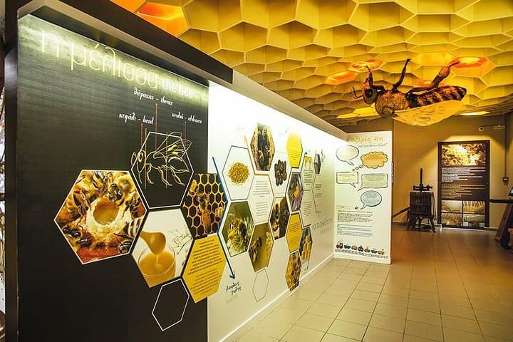 Aegean School Adventure: Bee Museums, Butterfly Habitats & Afandou Beach photo 3