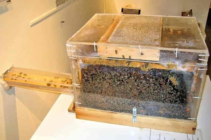 Aegean School Adventure: Bee Museums, Butterfly Habitats & Afandou Beach photo 4