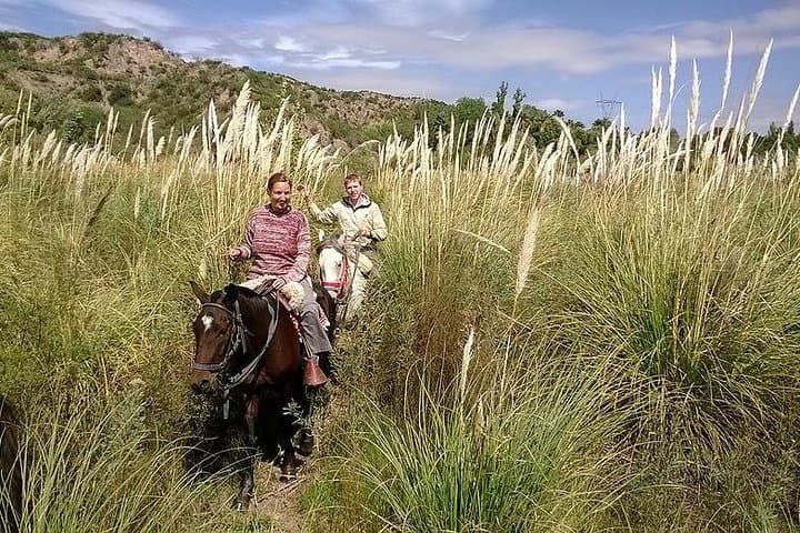 Criolla Horseback Riding in Lunlunta: Mendoza Andes Ranch Tour photo 2