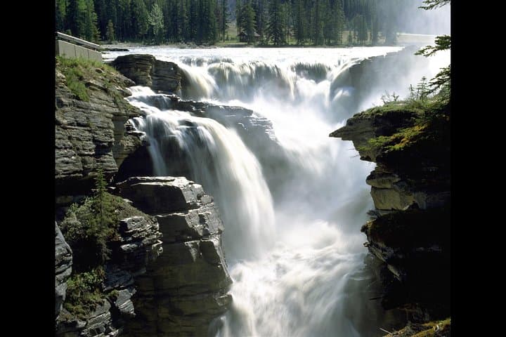 Icefields Parkway One-Way: Banff to Jasper Tour with Columbia Icefield Glacier Adventure photo 6