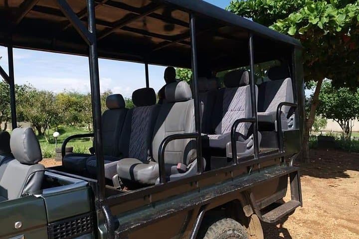 2-Day Bwindi Gorilla Trekking Safari: Bwindi Impenetrable National Park Guide photo 4
