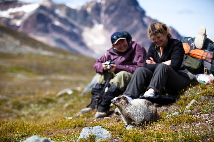 Ultimate Jasper Nature Walk: Guided 3‑Hour Interpretive Hike in Jasper National Park photo 4