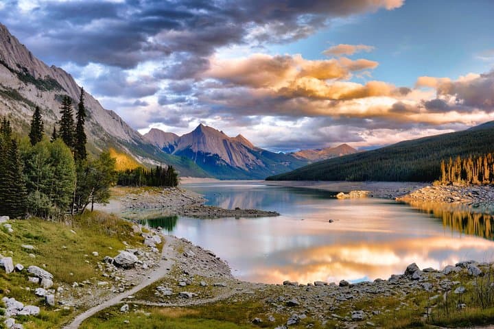 Ultimate Jasper Nature Walk: Guided 3‑Hour Interpretive Hike in Jasper National Park photo 6