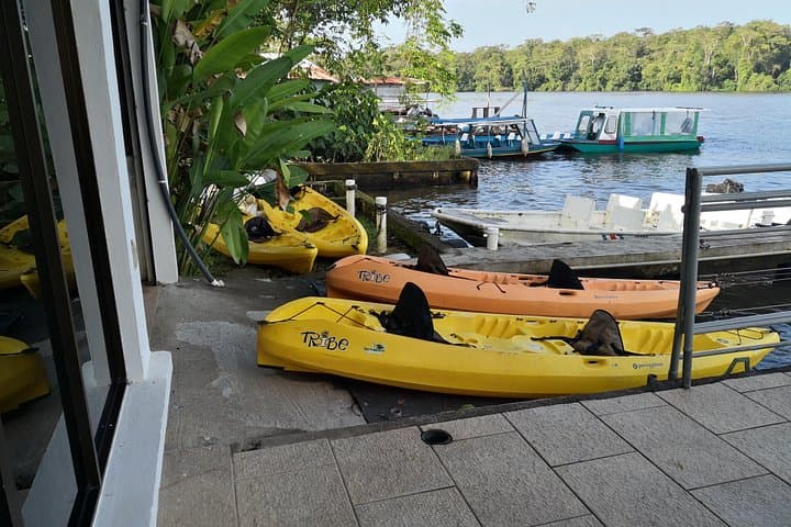 Total Tortuguero: Kayak & Canoe Canal Tours, Jaguar Trail Hike and Turtle Nesting Nightwalk photo 3