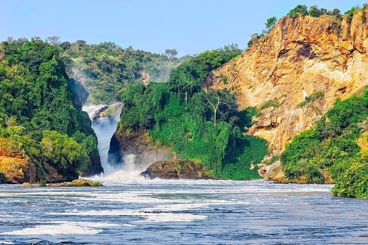 Uganda's Great Animals Safari: Gorilla Trekking, Falls & Primate Encounters photo 3