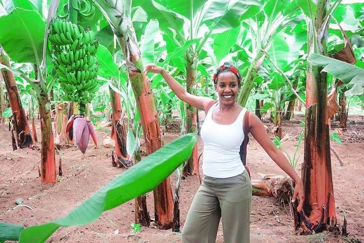 Like Locals: Banana Plantation and Cuscuz Workshop near Praia photo 6