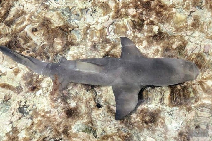 Sal Island Full-Day Highlights Tour: Beaches, Blue Eye & Salt Crater with Lunch photo 3