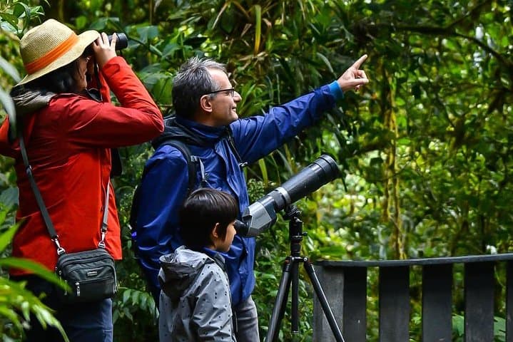Curicancha Cloud Forest Walk in Monteverde — Guided Nature Walk with Free Binoculars photo 2