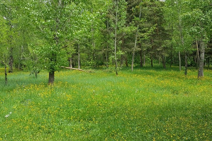 Private Tour to Jermuk Waterfall from Yerevan — Hot Springs, Falls & Forest Walk photo 3