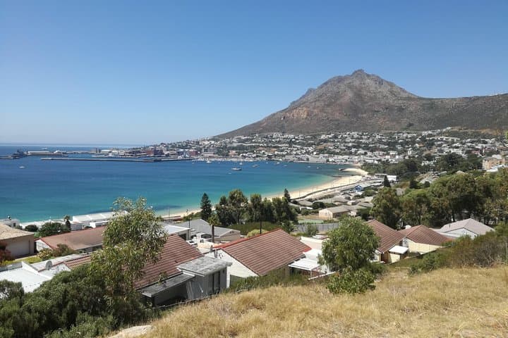 Cape Point & Boulders Beach: Full-Day Cape of Good Hope Tour from Cape Town