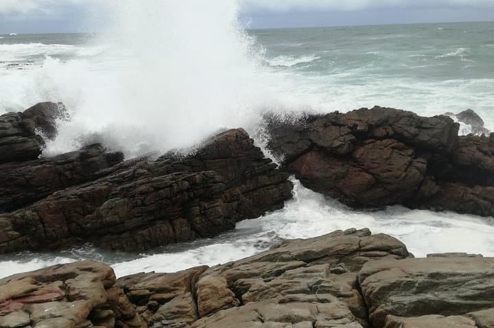 Cape Point & Boulders Beach: Full-Day Cape of Good Hope Tour from Cape Town photo 3
