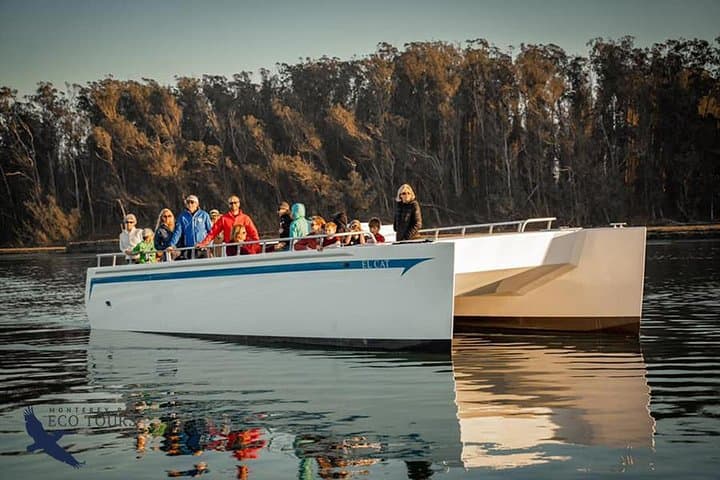 Elkhorn Slough Electric Wildlife Cruise: Otters, Birds & Tidal Wetlands photo 4