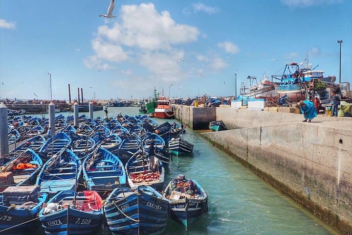 Day Trip from Marrakech to Essaouira: Atlantic Winds, Argan Groves & Medina Strolls photo 1