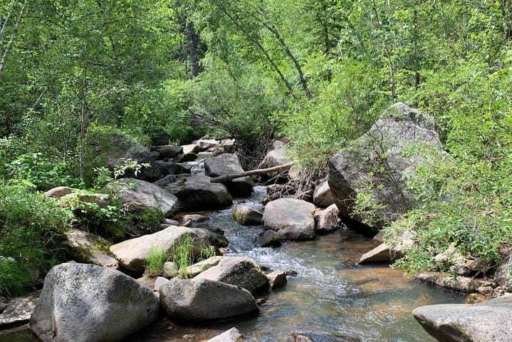 Jeep Safari and Hike in Custer State Park — Private Day Tour from Rapid City photo 3