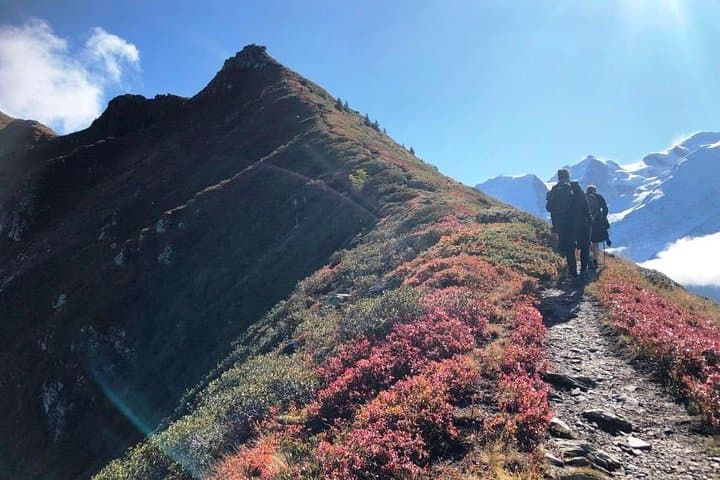 Imlil & Atlas Mountains Day Trips from Marrakech — Mule Treks, Berber Villages & Ourika Valley photo 3