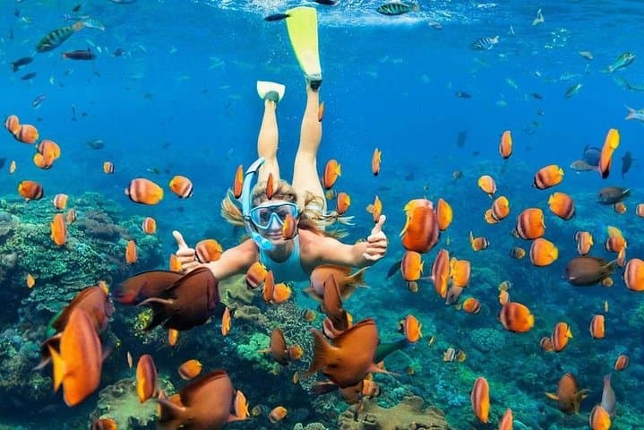 Full-Day Nusa Penida Tour: Kelingking, Diamond & Hidden Beaches photo 4