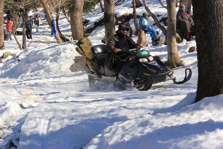 Shimla to Manali 6-Day Hill Station Tour from Delhi: Guide & Itinerary photo 2
