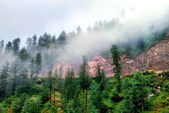 Shimla to Manali 6-Day Hill Station Tour from Delhi: Guide & Itinerary photo 4
