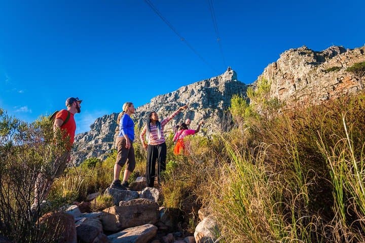 Private Hike Up Table Mountain: Routes, Views & Cape Floral Guide