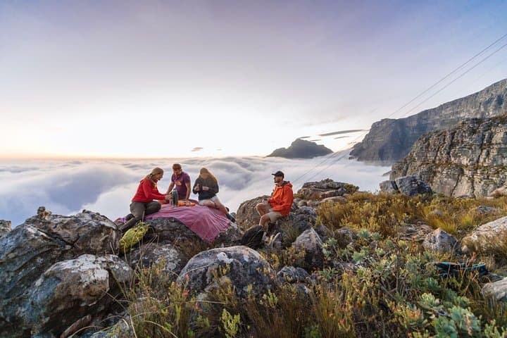 Private Hike Up Table Mountain: Routes, Views & Cape Floral Guide photo 3