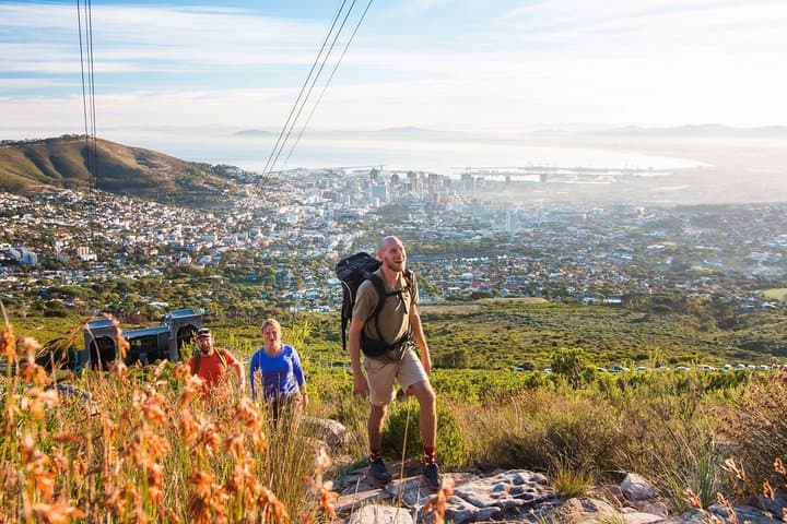 Private Hike Up Table Mountain: Routes, Views & Cape Floral Guide photo 6