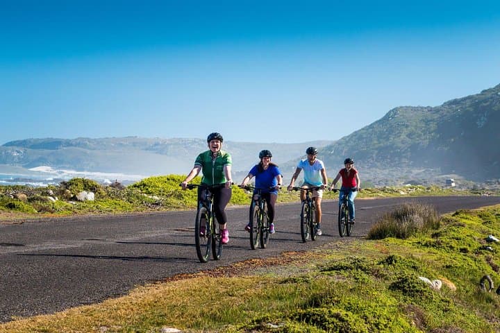 Cycle the Cape Peninsula: Cape Point, Chapman's Peak & Boulder's Beach Day Tour