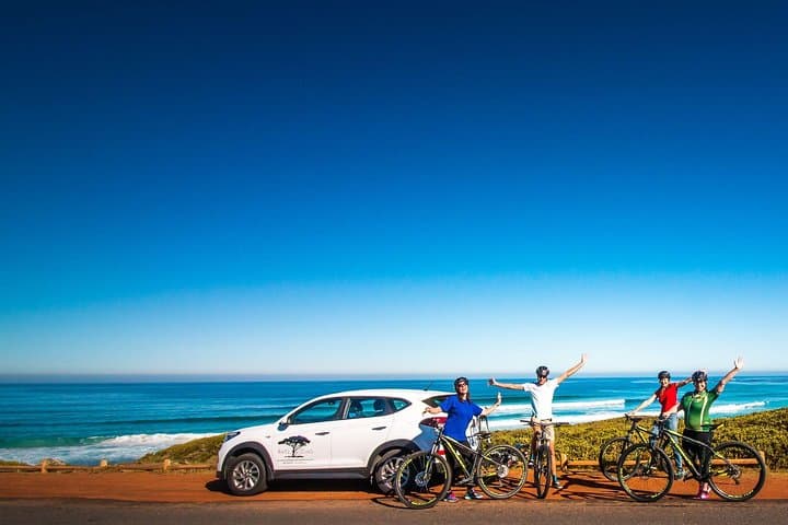 Cycle the Cape Peninsula: Cape Point, Chapman's Peak & Boulder's Beach Day Tour photo 4