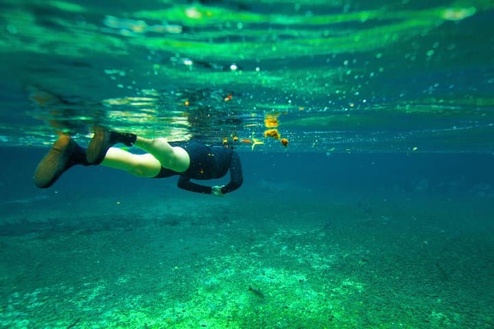 Pantanal and Bonito: 8-Day Private Wildlife, Canoe & Snorkeling Adventure