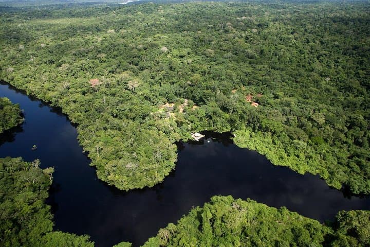 Pantanal & Amazon Holiday: 8-Day Private Wildlife Tour from Cuiabá