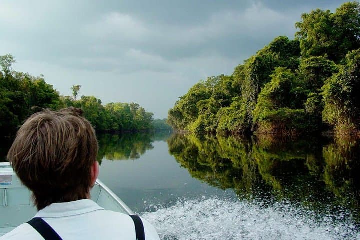 Pantanal & Amazon Holiday: 8-Day Private Wildlife Tour from Cuiabá photo 2