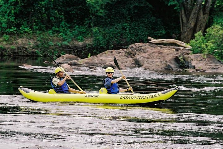 Pantanal & Amazon Holiday: 8-Day Private Wildlife Tour from Cuiabá photo 3